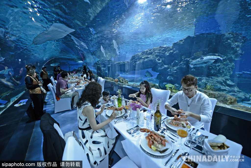 拼的就是創(chuàng)意 盤(pán)點(diǎn)水下世界趣聞不斷