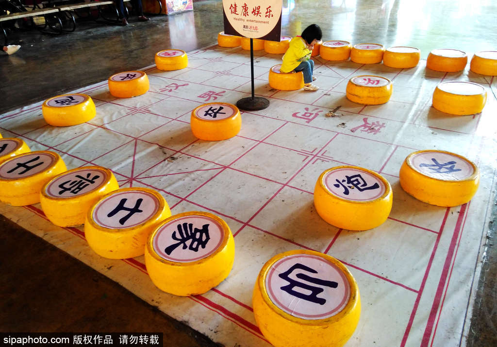 重慶現(xiàn)巨型象棋 手搬對弈益神健體