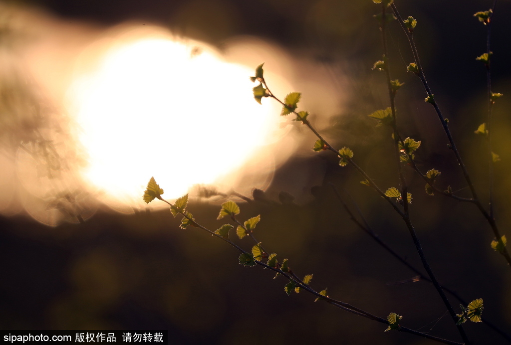 俄羅斯伊萬諾沃州春日風光 寒意未退清新絕美