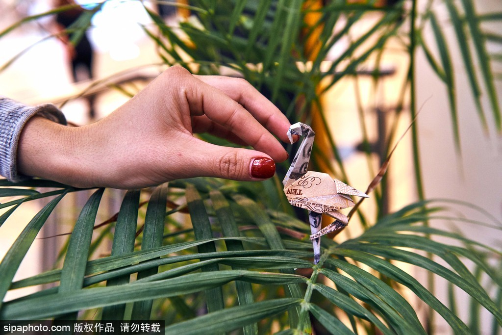 愛(ài)錢又耿直的英國(guó)人 購(gòu)物中心布置“英鎊紙鶴”為民眾制造驚喜