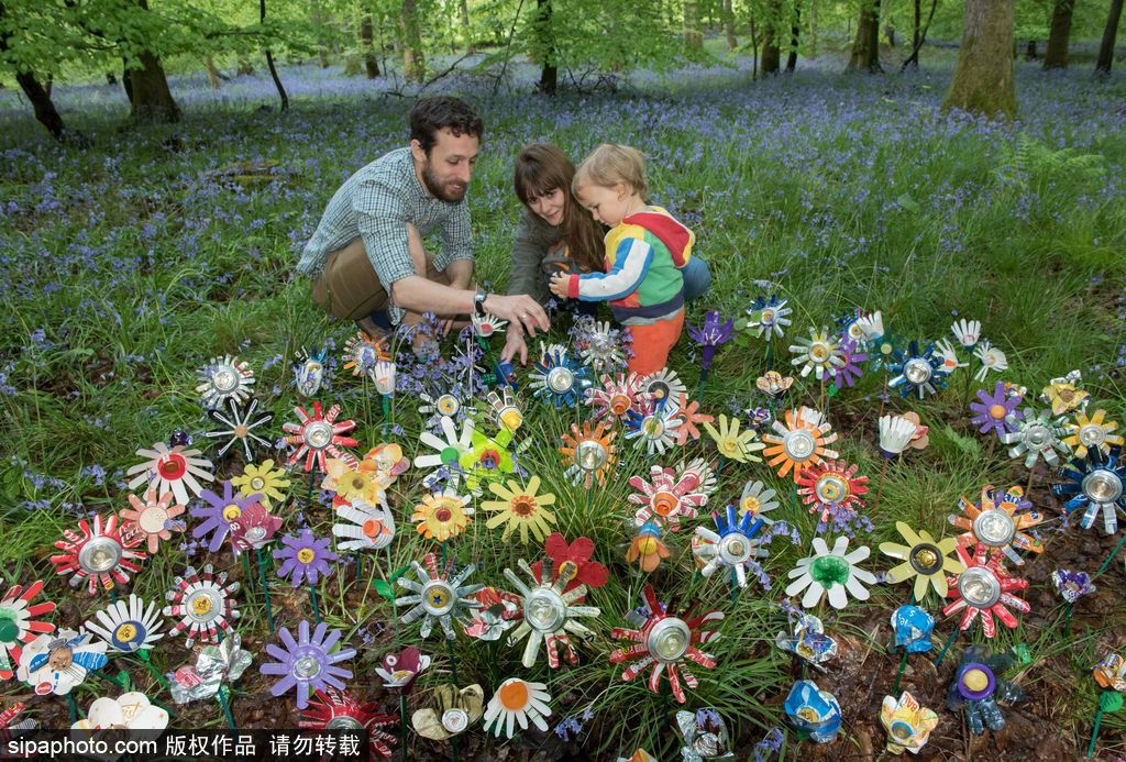 垃圾也是美麗的存在 英國迪恩森林“廢品”花叢