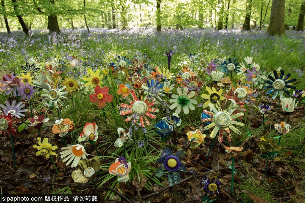 垃圾也是美麗的存在 英國迪恩森林“廢品”花叢