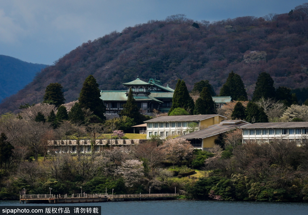 日本富士箱根伊豆國立公園初夏美景