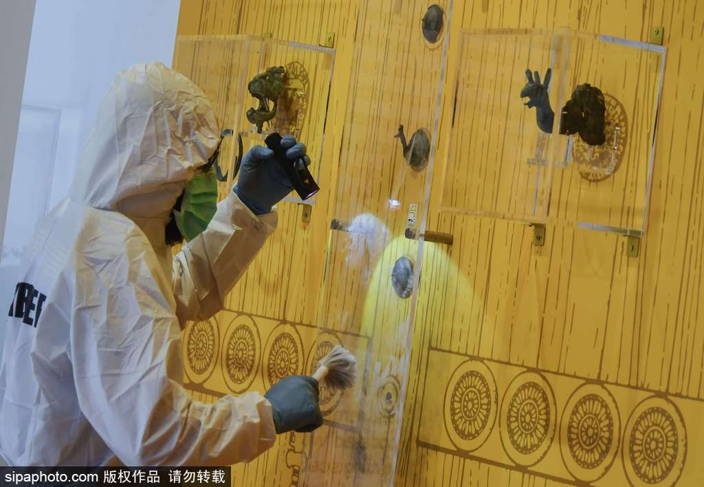 公元前6世紀(jì)龐貝古城文物被盜 調(diào)查人員現(xiàn)場(chǎng)勘查