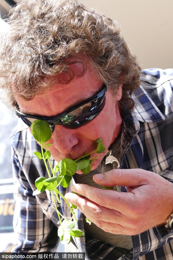 舌尖上的美食？英國吃豆瓣菜大賽眾選手大快朵頤瘋狂塞菜