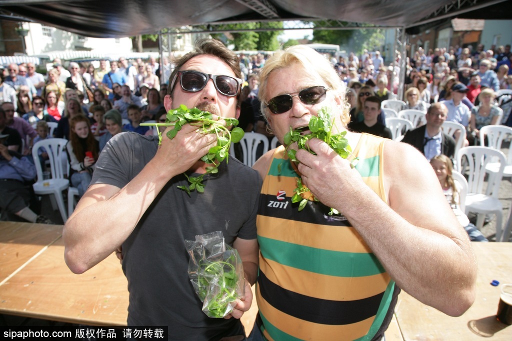 舌尖上的美食？英國吃豆瓣菜大賽眾選手大快朵頤瘋狂塞菜