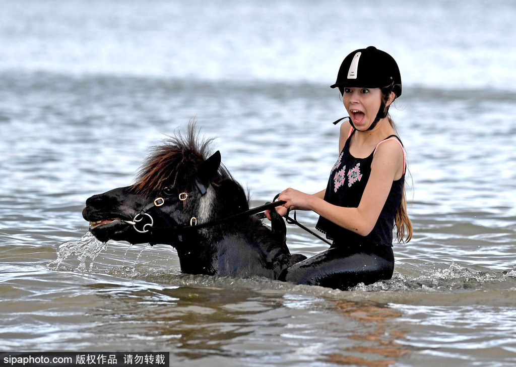 英國多塞特高溫來襲 女孩騎馬下河降溫