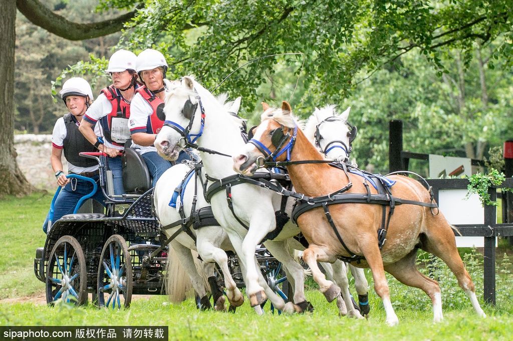 英國(guó)霍普頓四輪馬車賽激烈上演 菲利普親王坐車中悠閑觀賽