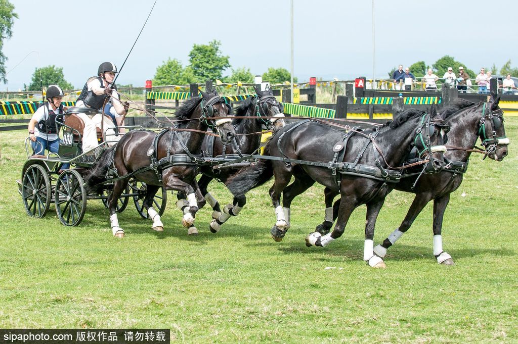 英國霍普頓四輪馬車賽激烈上演 菲利普親王坐車中悠閑觀賽