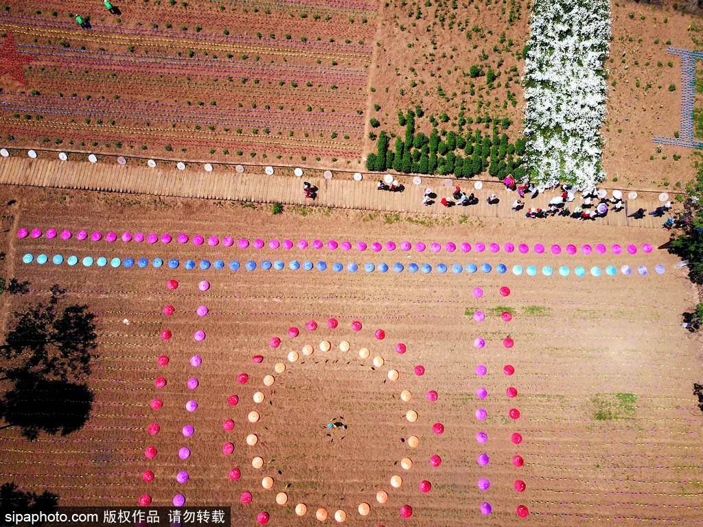 河南：數萬風車裝扮七彩大地場面壯觀震撼