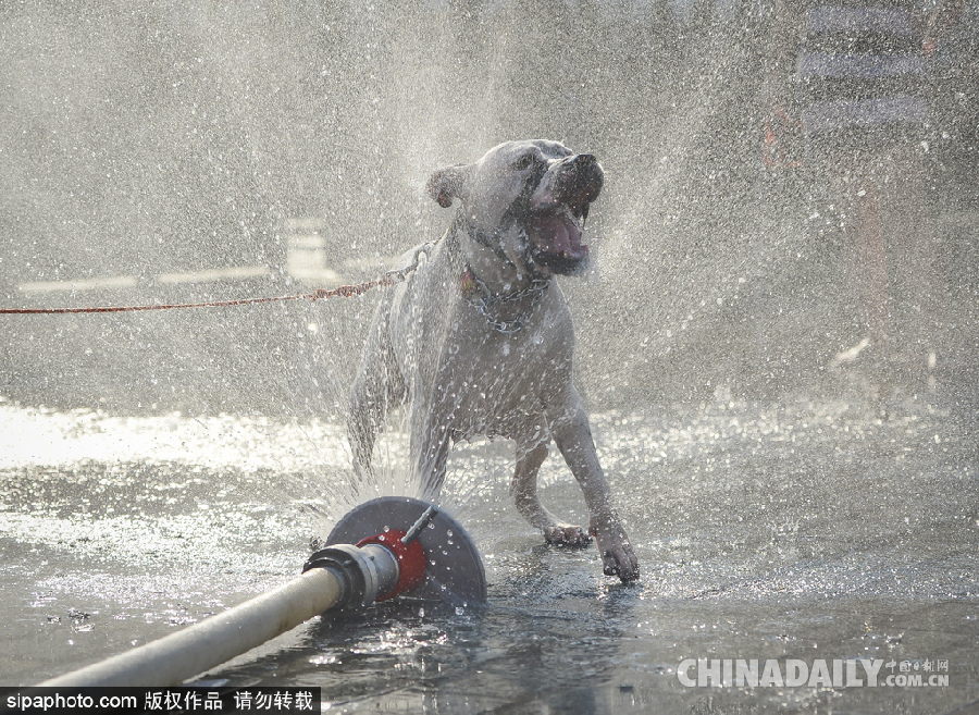 讓清涼來的更猛烈些 盤點夏日高溫清爽時刻