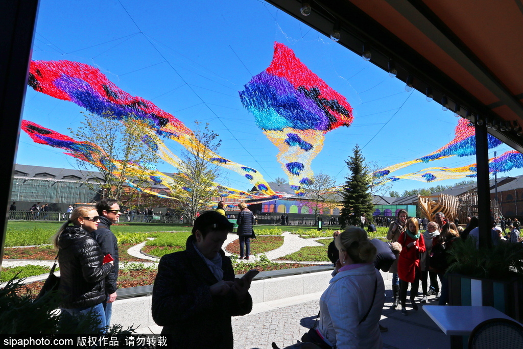 如墜凡間 俄羅斯藝術家創作“火鳥”藝術品吸人眼球
