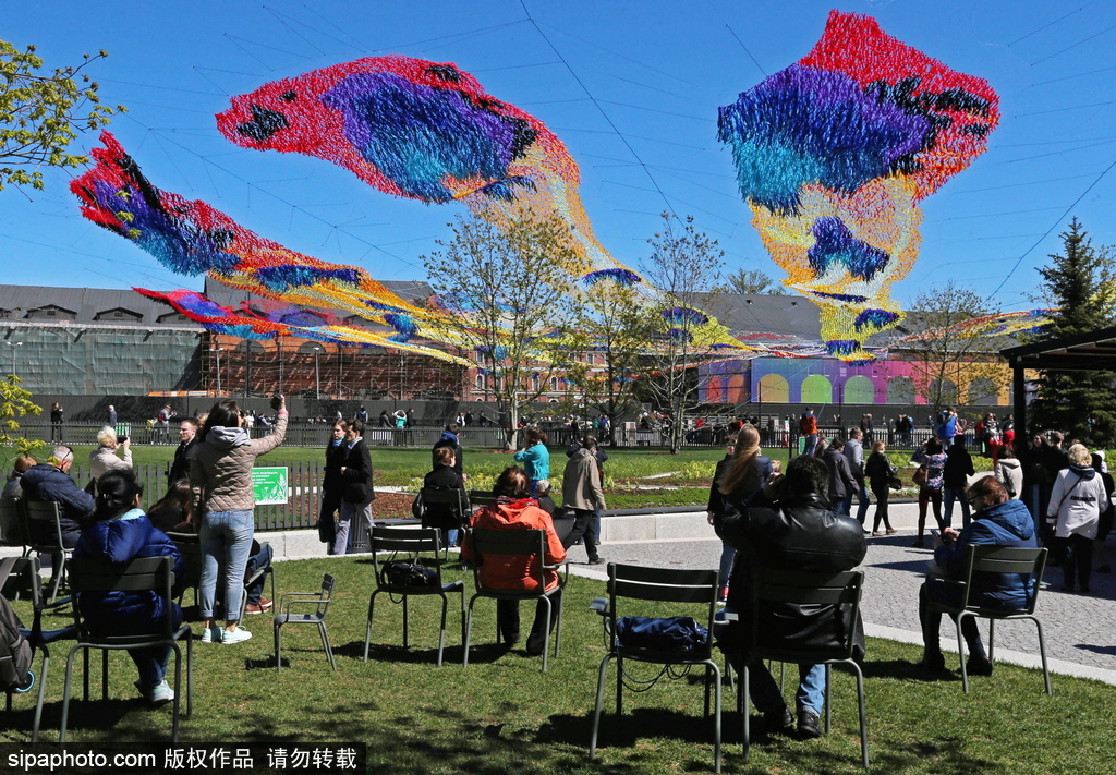 如墜凡間 俄羅斯藝術家創作“火鳥”藝術品吸人眼球