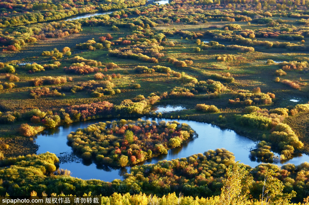 世界環(huán)境日 盤點國內(nèi)絕美濕地風(fēng)光