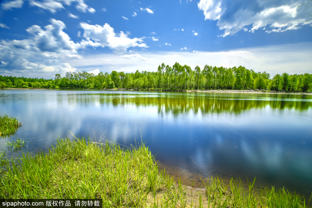 世界環境日 盤點國內絕美濕地風光