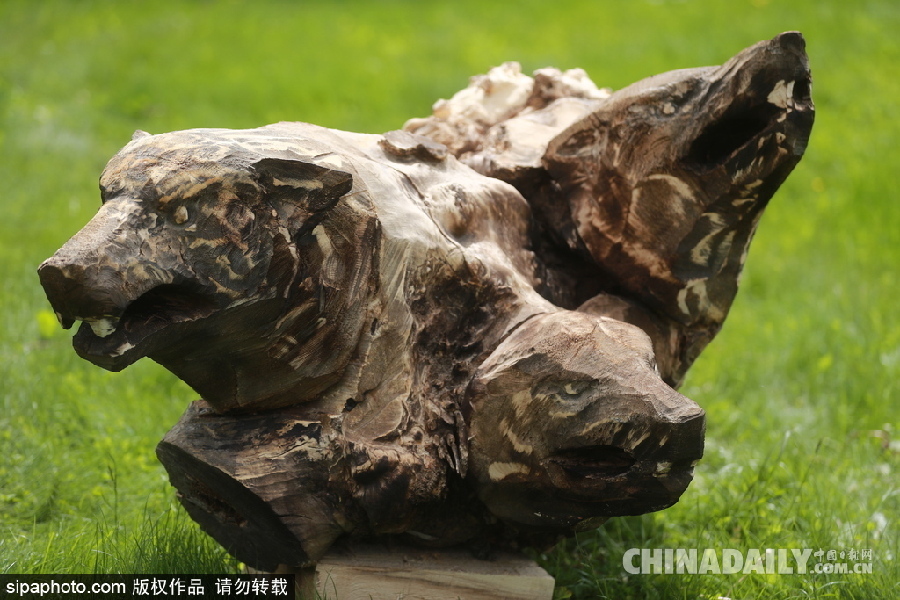 俄羅斯莫斯科舉行首屆根雕藝術節 形態各異