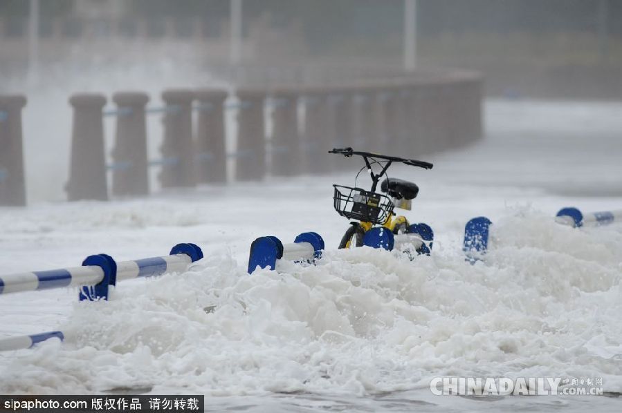 青島大潮掀10余米高巨浪 游客冒險拍照