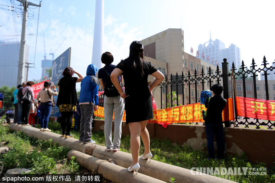 可憐天下父母心 沈陽考場(chǎng)外家長(zhǎng)頂烈日踩廢棄電線桿翹首以盼