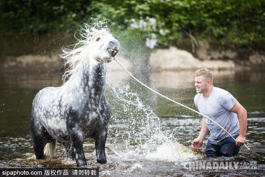 英國坎布里亞：阿普比馬市拉開帷幕