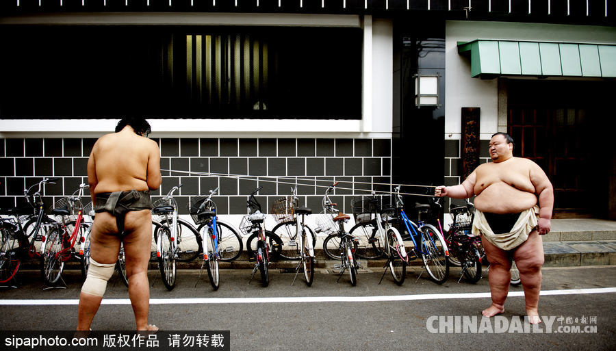 日本東京相撲運動員眾生相
