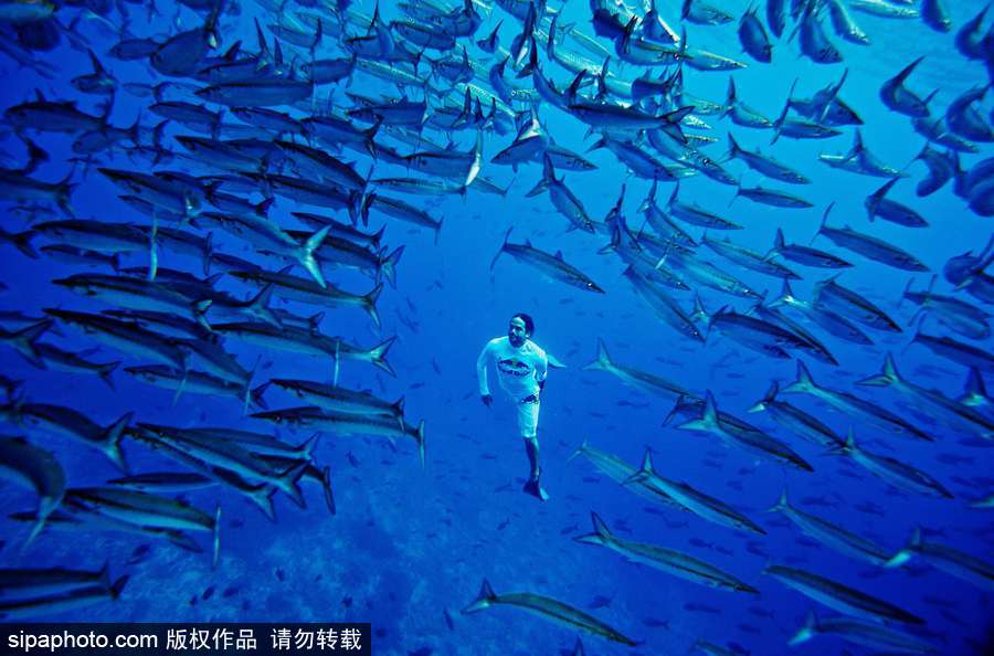 蔚藍(lán)國(guó)度 帶你領(lǐng)略神秘未知的海洋魅麗