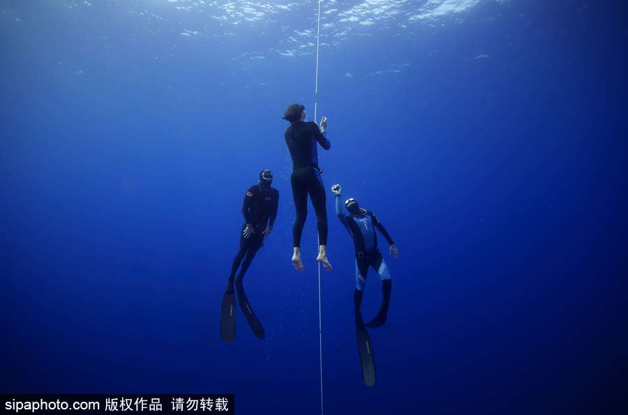 蔚藍(lán)國(guó)度 帶你領(lǐng)略神秘未知的海洋魅麗