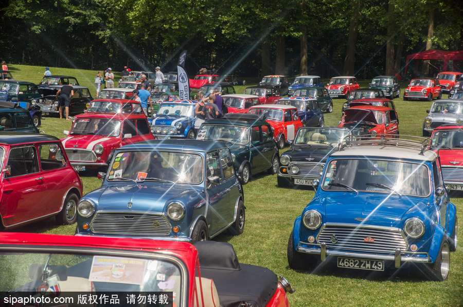 不老的經(jīng)典 法國舉行迷你車集會充滿懷舊復古氣息