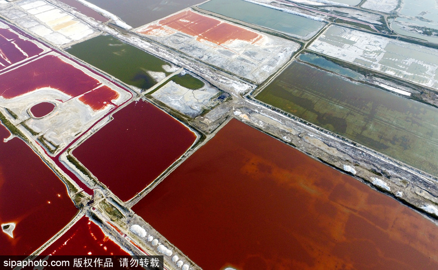 山西運城：持續高溫來襲 千年鹽池變身美麗七彩湖