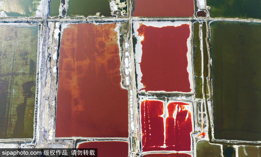 山西運城：持續高溫來襲 千年鹽池變身美麗七彩湖