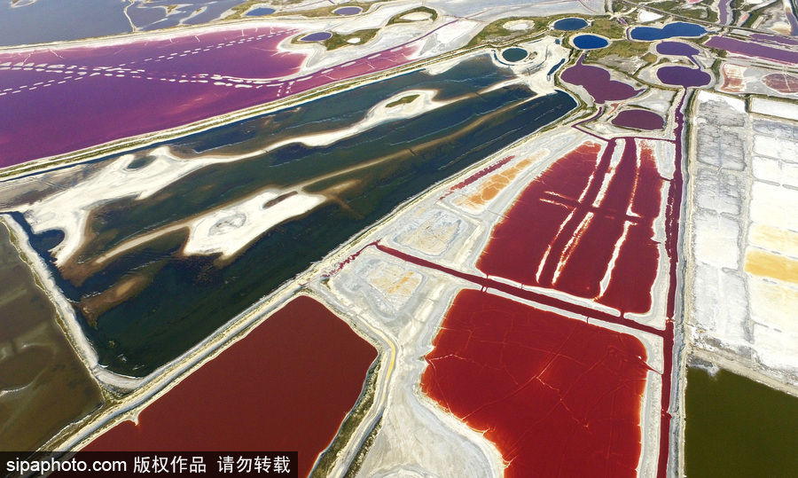 山西運城：持續(xù)高溫來襲 千年鹽池變身美麗七彩湖