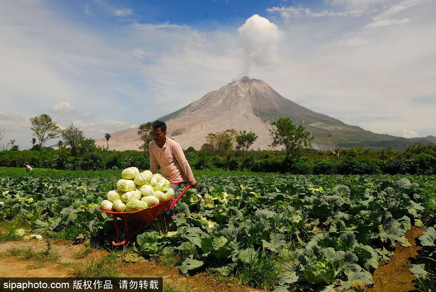 心態好！錫納朋火山熔巖量持續增加 居民淡然生活