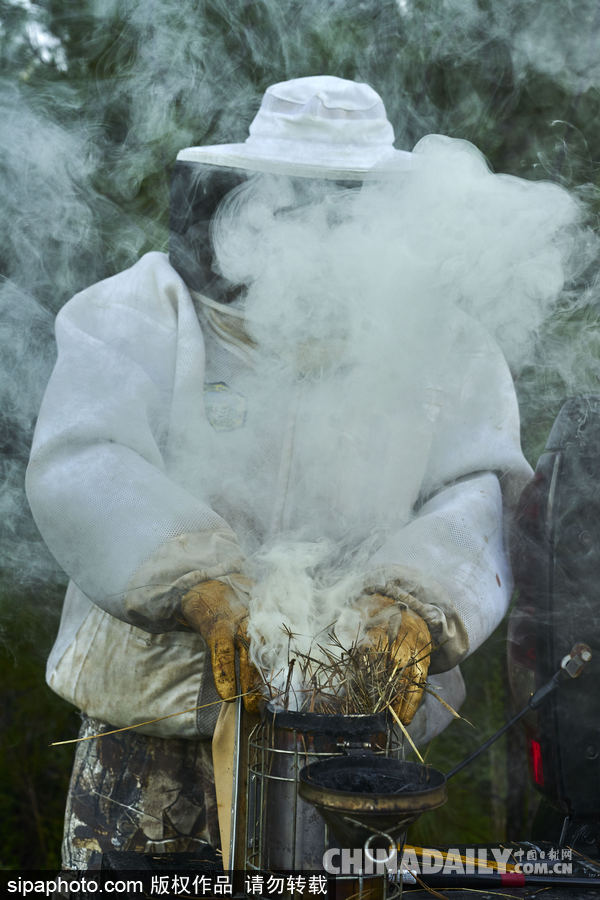 探訪美國弗農養蜂場 滴滴香甜原生態