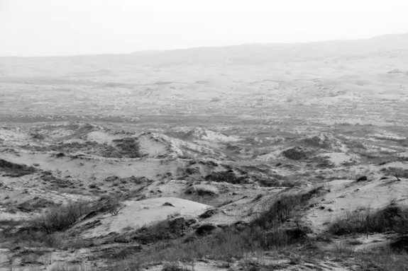 英國(guó)小哥到河北塞罕壩避暑，竟意外收獲了一個(gè)美麗的故事丨好運(yùn)中國(guó)