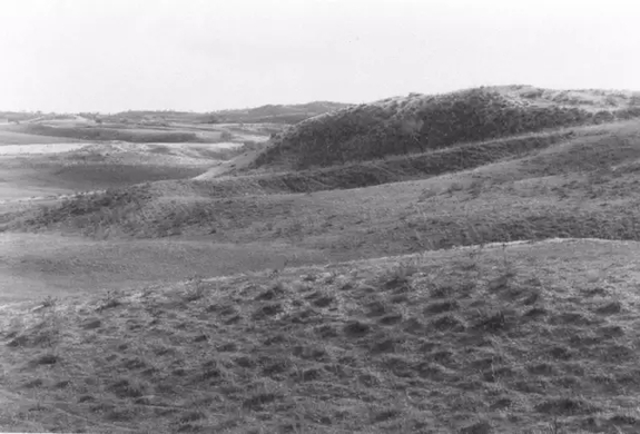 英國(guó)小哥到河北塞罕壩避暑，竟意外收獲了一個(gè)美麗的故事丨好運(yùn)中國(guó)