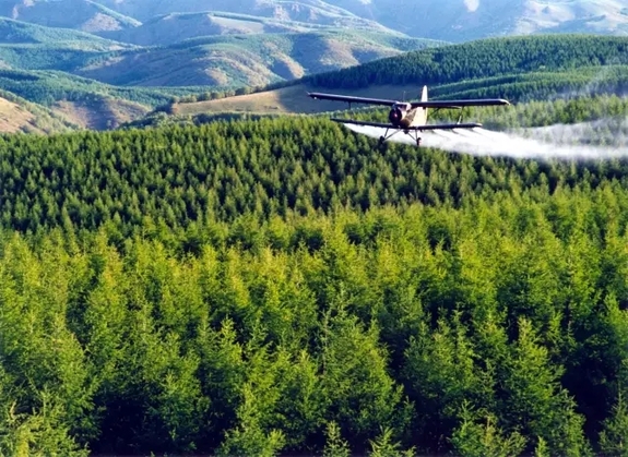 英國(guó)小哥到河北塞罕壩避暑，竟意外收獲了一個(gè)美麗的故事丨好運(yùn)中國(guó)