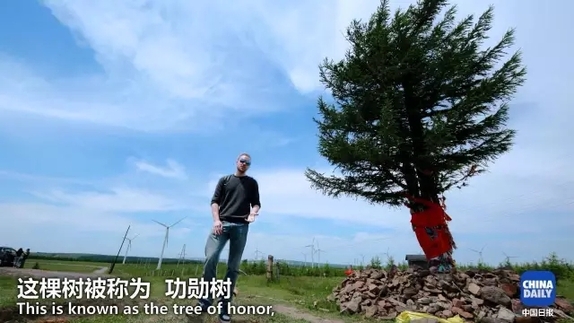 英國(guó)小哥到河北塞罕壩避暑，竟意外收獲了一個(gè)美麗的故事丨好運(yùn)中國(guó)