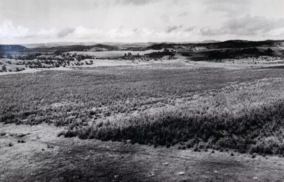 英國(guó)小哥到河北塞罕壩避暑，竟意外收獲了一個(gè)美麗的故事丨好運(yùn)中國(guó)