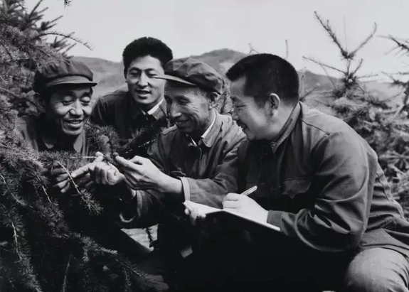 英國(guó)小哥到河北塞罕壩避暑，竟意外收獲了一個(gè)美麗的故事丨好運(yùn)中國(guó)