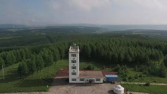 英國(guó)小哥到河北塞罕壩避暑，竟意外收獲了一個(gè)美麗的故事丨好運(yùn)中國(guó)