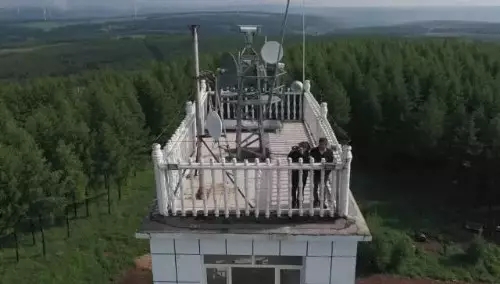 英國(guó)小哥到河北塞罕壩避暑，竟意外收獲了一個(gè)美麗的故事丨好運(yùn)中國(guó)