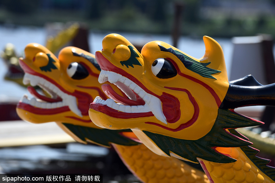 第27屆紐約香港龍舟節(jié)開(kāi)幕 200支隊(duì)伍奮力角逐