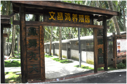 走進文昌,講小鎮故事看滄桑巨變