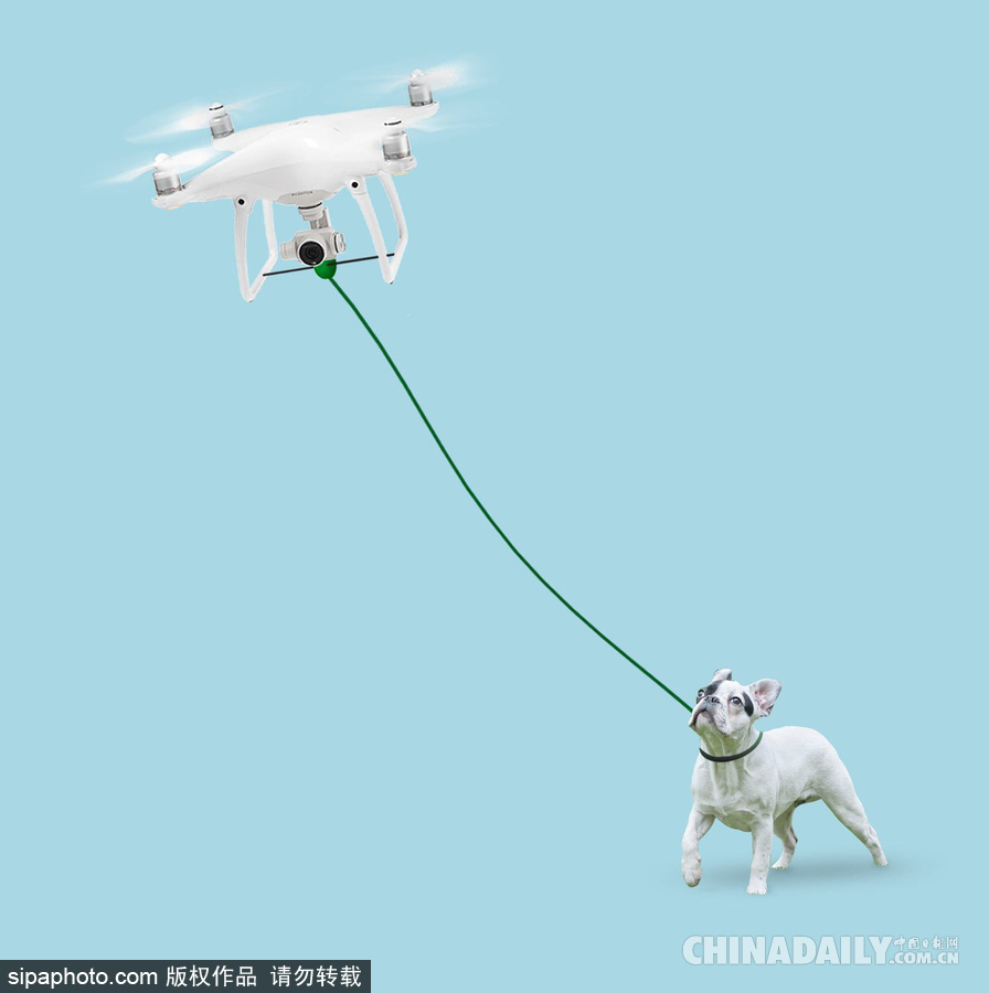 鏟屎官福音 無人機化身遛狗神器走哪牽哪