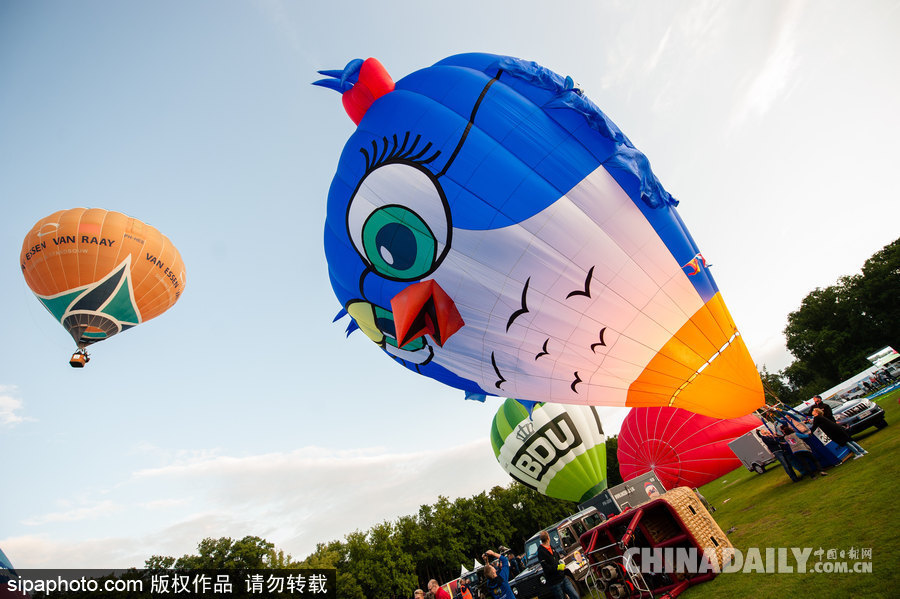 藍(lán)天下的飛行浪漫！荷蘭巴訥費(fèi)爾德熱氣球節(jié)開(kāi)幕