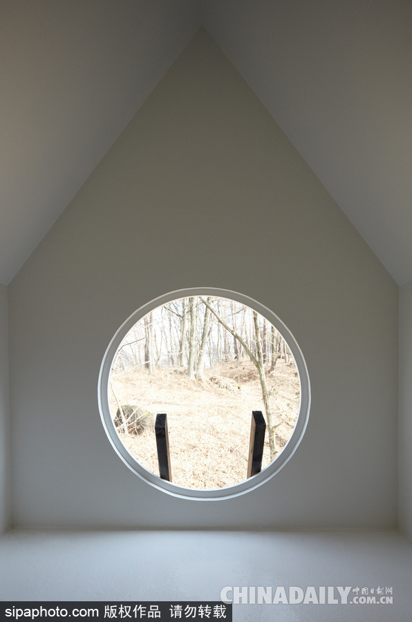 令人驚嘆！日本建筑公司筑起共享樹屋 人類可與鳥兒在屋內同住