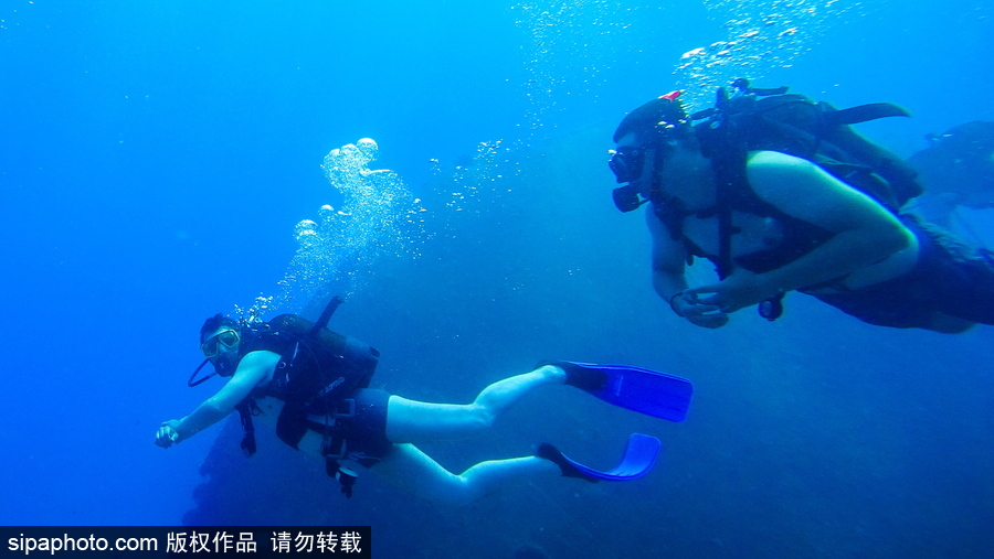 感受地中海水下“神秘世界” 土耳其凱梅爾海邊潛水