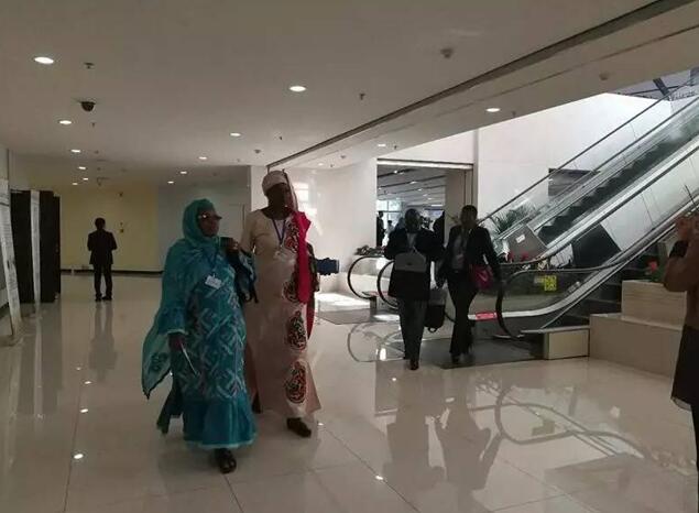 都給您整理好了！關于《聯合國防治荒漠化公約》第13次締約方大會開幕式，這個最全！