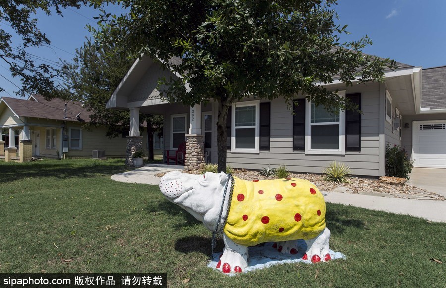 “河馬小鎮”美國胡托 街頭遍布河馬雕塑