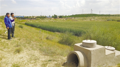 河洛圖小流域水土保持綜合治理區： 綠意滋潤 美富兼收