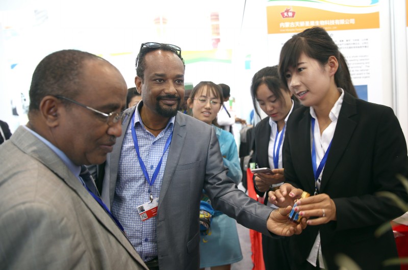 《聯合國防治荒漠化公約》第十三次締約方大會高級別會議開幕